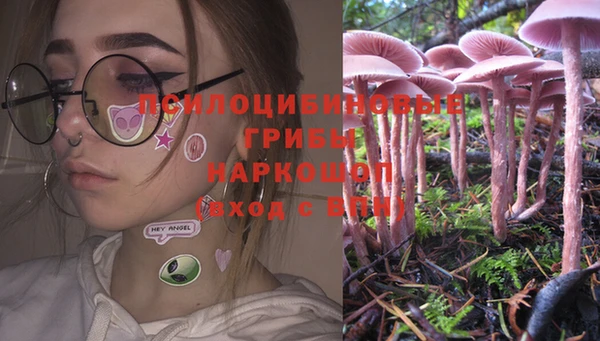 экстази Няндома