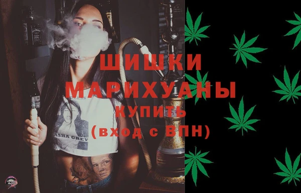 2c-b Новозыбков