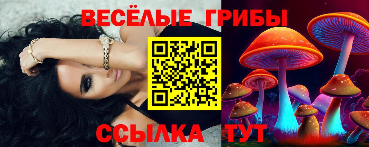 Коммунар  как найти закладки  Вход с VPN  Галлюциногенные грибы Psilocybe 