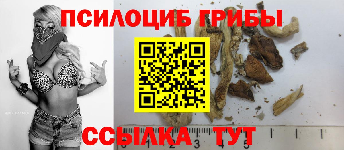 Псилоцибиновые грибы Psilocybine cubensis  Коммунар 